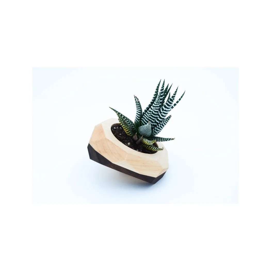 Tilted Geometric Wooden Planter