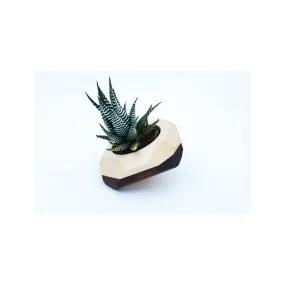 Tilted Geometric Wooden Planter